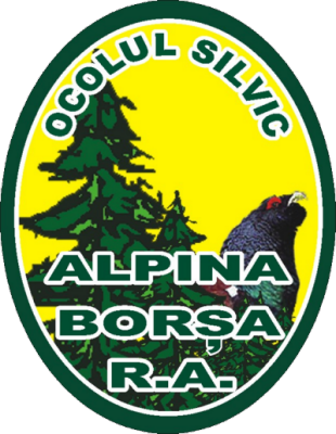 Logo Ocol Silvic Alpina Borșa